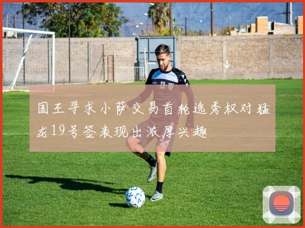 国王寻求小萨交易首轮选秀权对猛龙19号签表现出浓厚兴趣