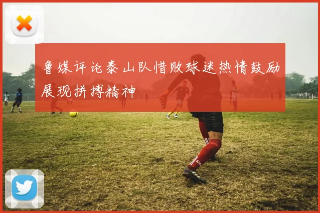 鲁媒评论泰山队惜败球迷热情鼓励展现拼搏精神
