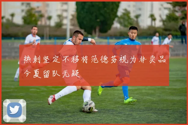 热刺坚定不移将范德芬视为非卖品今夏留队无疑