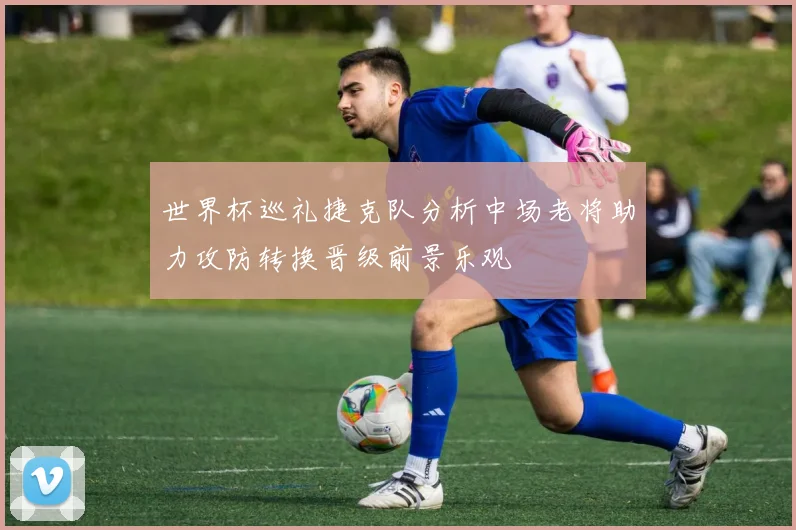 世界杯巡礼捷克队分析中场老将助力攻防转换晋级前景乐观