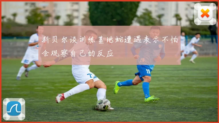 科贝尔谈训练基地蛇遭遇表示不怕会观察自己的反应