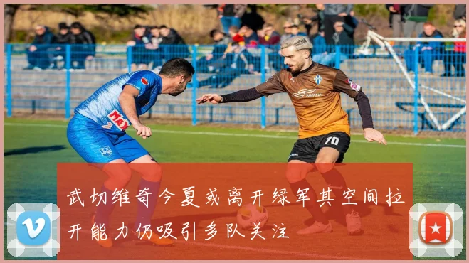 武切维奇今夏或离开绿军其空间拉开能力仍吸引多队关注